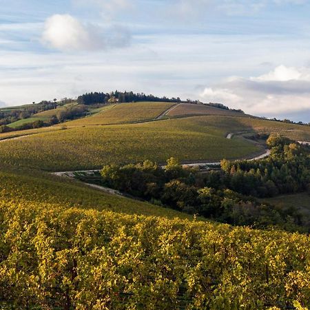 ホテル Ca' Del Moro Wine Retreat グレッツァーナ エクステリア 写真
